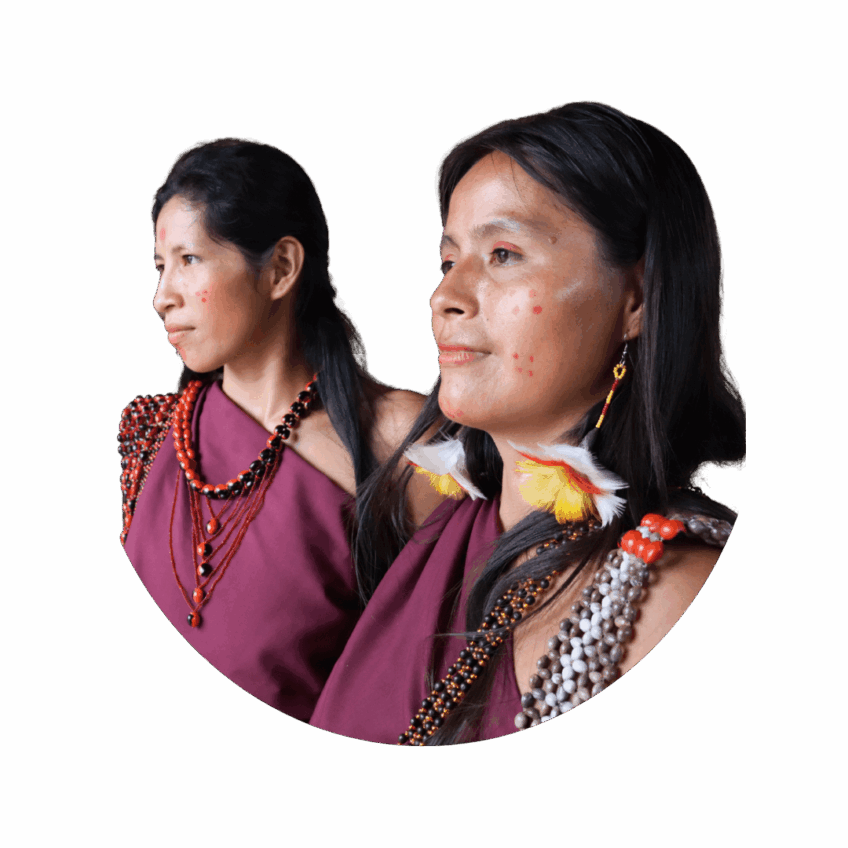 99% of rainforest remains intact thanks to your donations