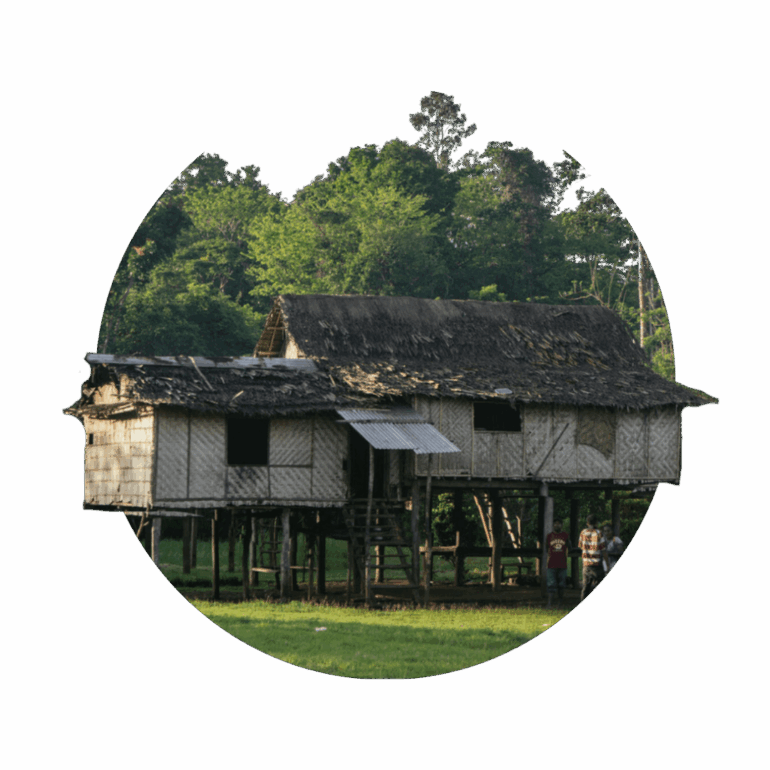 Partner with Us