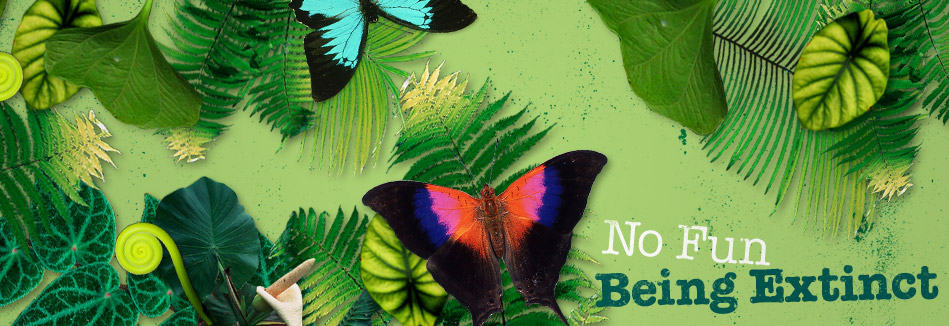 Illustrated butterflies and leaves with the words 'No Fun Being Extinct' overlaid.