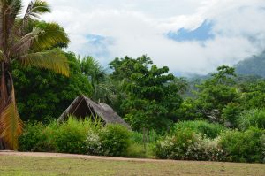 cloudy rainforest landscape with thatched roof seen above some bushes