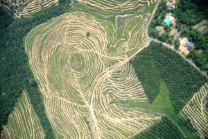 aerial of large scale logging