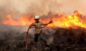 Indonesian soldier tries to extinguish a forest fire