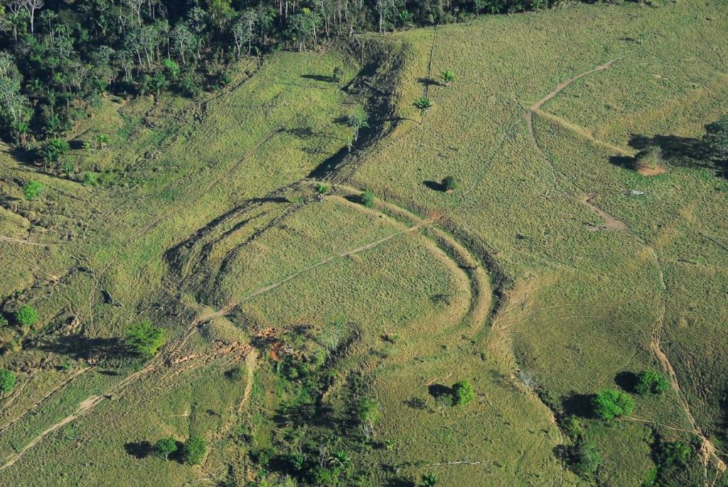 an aerial image of a canopy clearing in rainforest