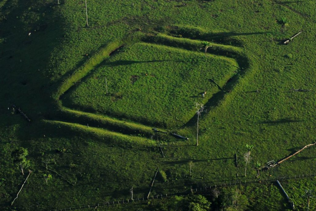 an aerial image of a canopy clearing in rainforest