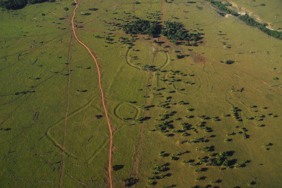 an aerial image of a canopy clearing in rainforest