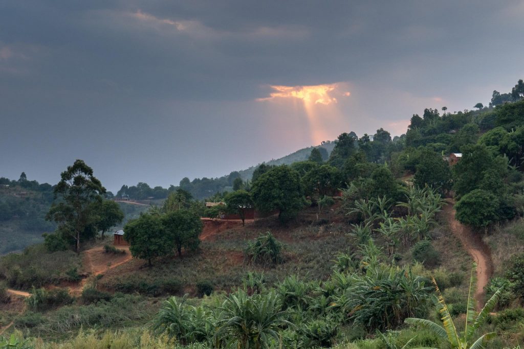 The sun breaks through the clouds above rainforest in Mount Namuli, Mozambique