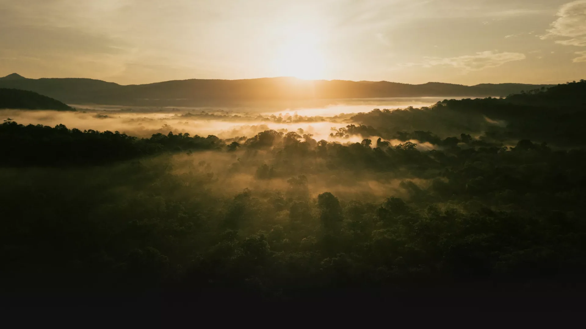 An aerial image of a sunrise over tropical rainforest in Cambodia.