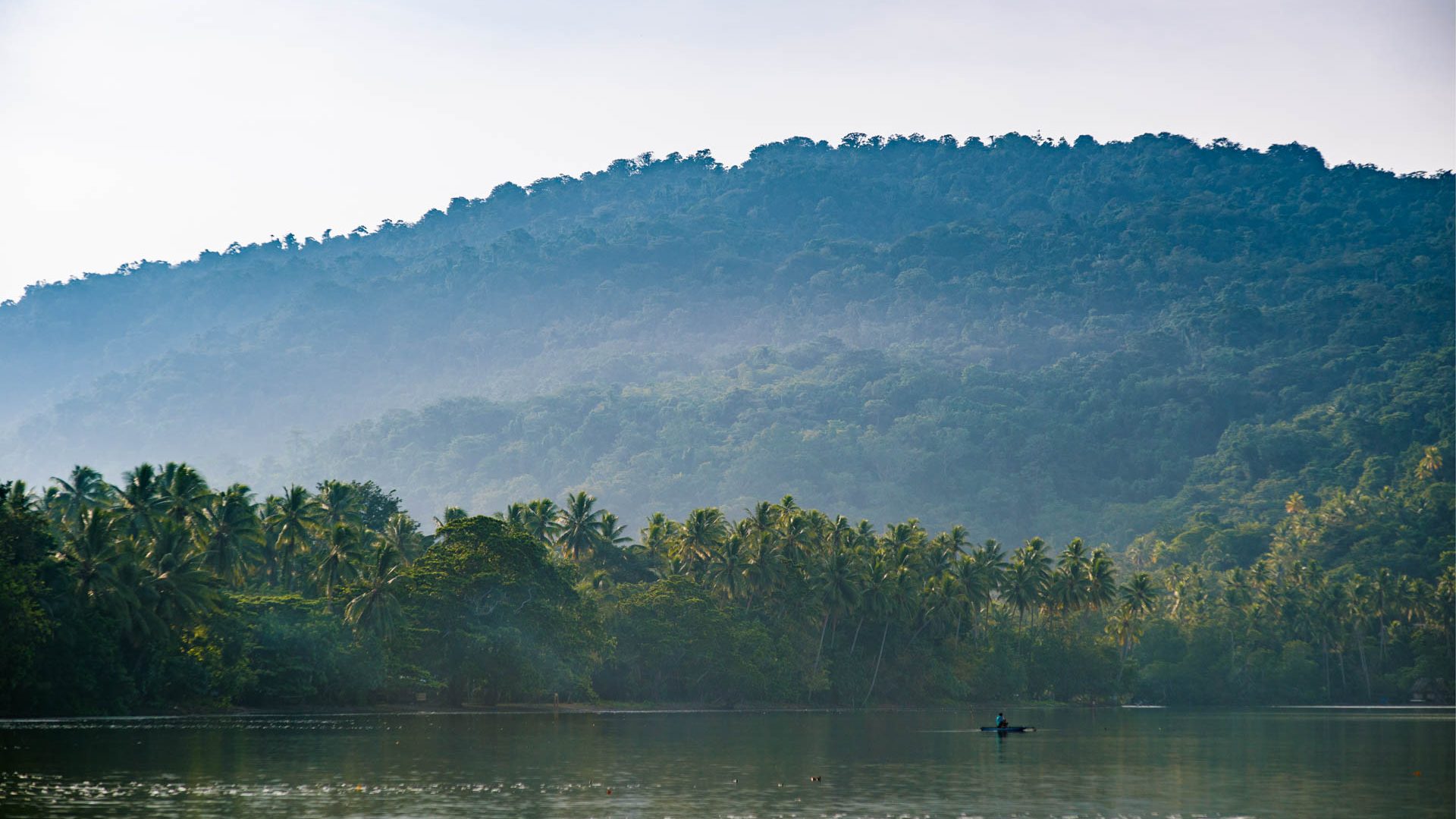 Rainforest meets ocean. We see someone in a canoe next to a palm lined shore with a large misty hill covered in trees in the background.