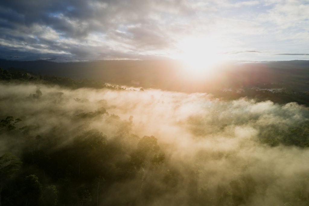 The sun rises over misty Amazonian forest.
