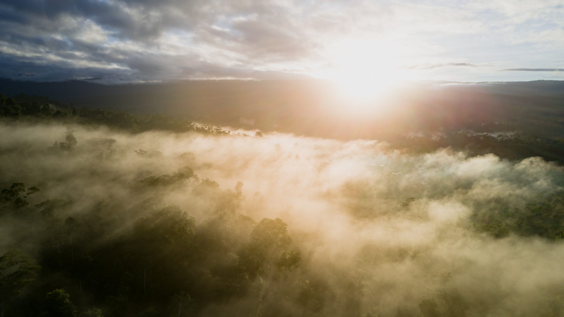 The sun rises over misty Amazonian forest.