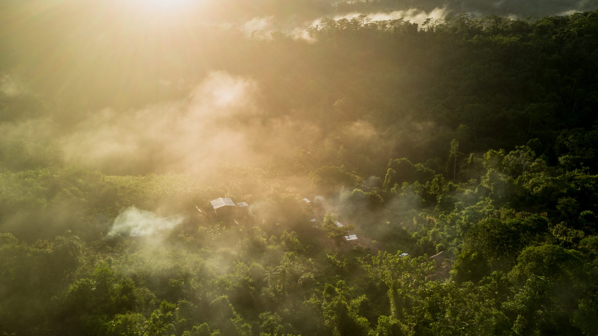The sun rises over a rainforest village surrounded by trees.