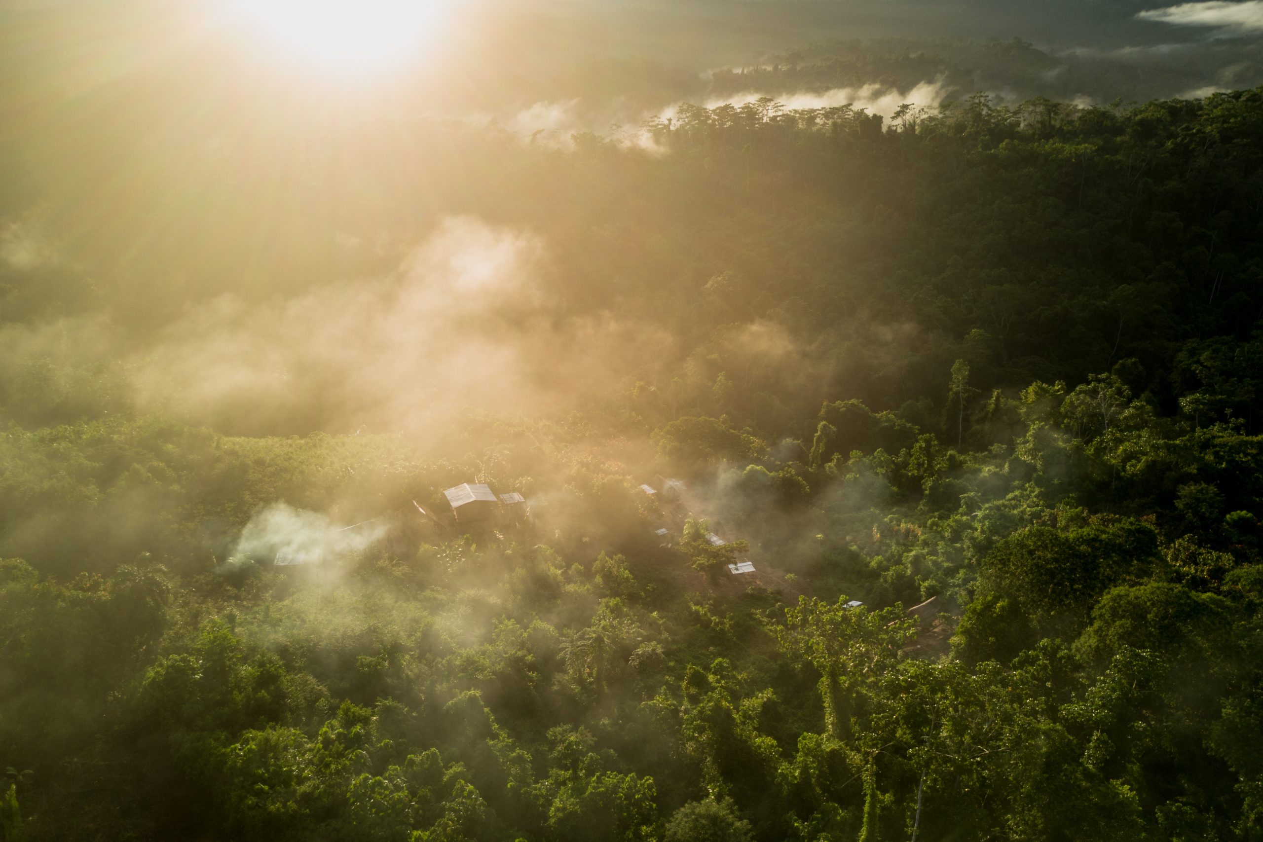 The sun rises over a rainforest village surrounded by trees.