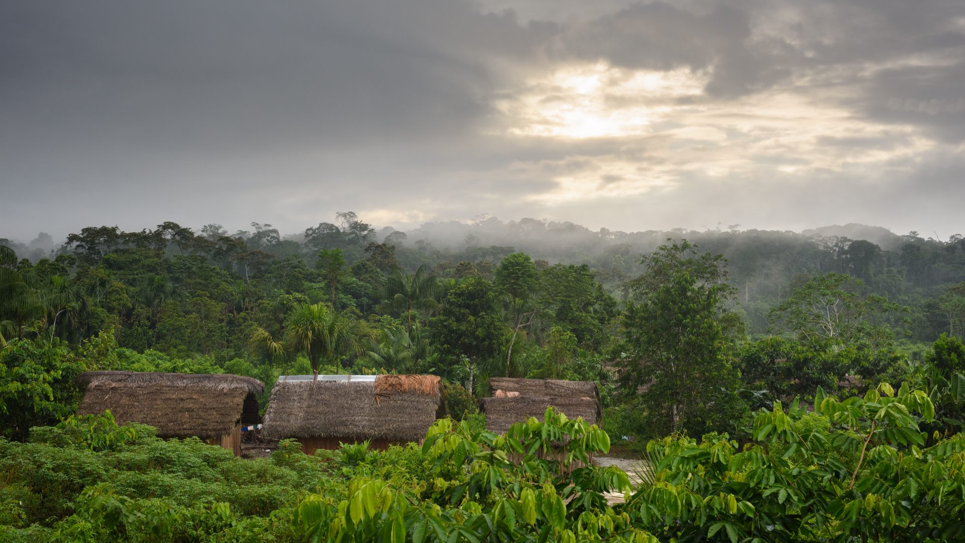 Rooftop of buildings showing amogst dense forest with clouds in the background lit by sunshine