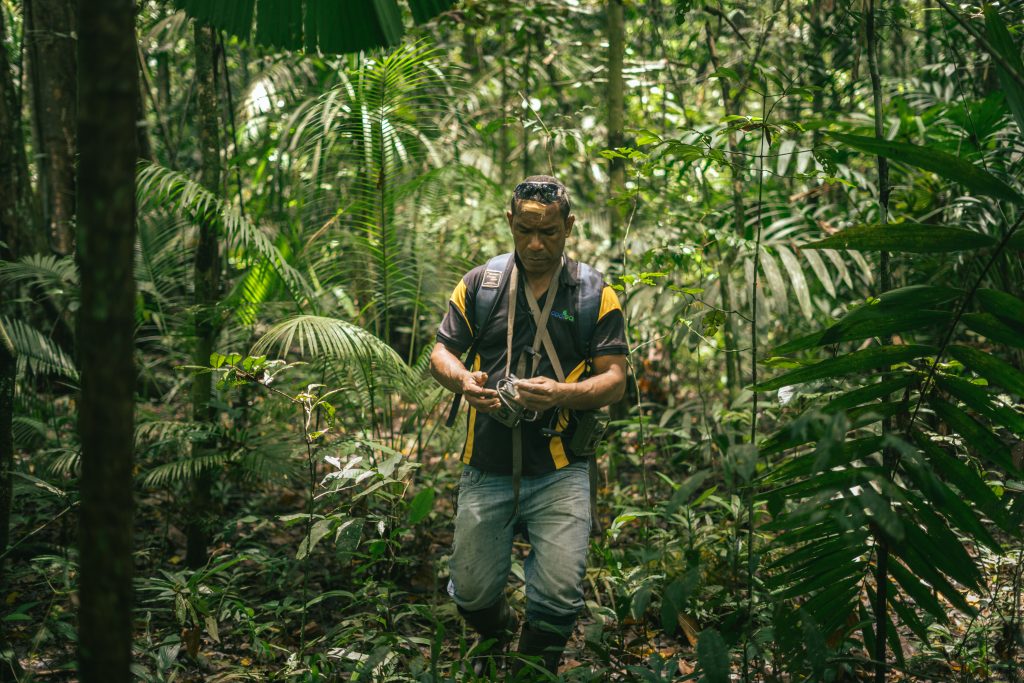 Biodiversity officer Isaac Dauge walking through the New Guinea rainforest