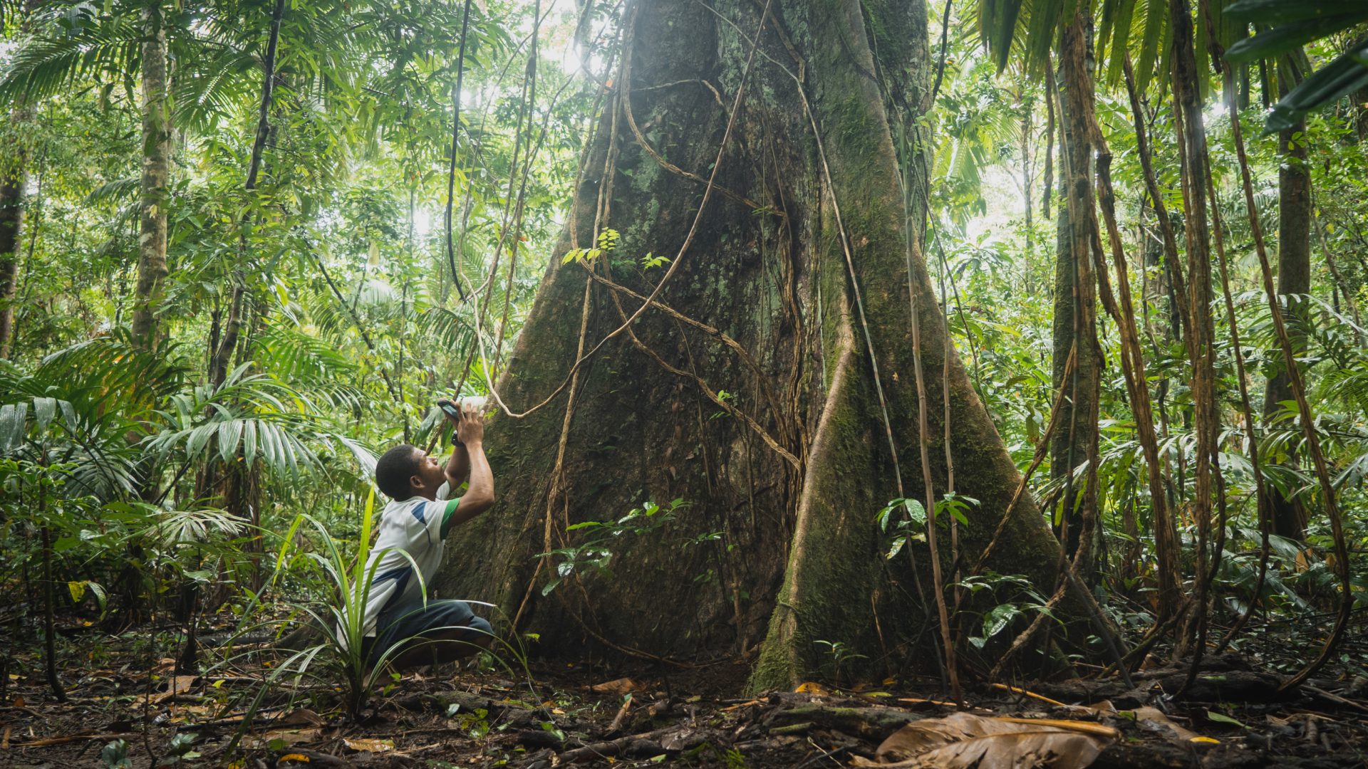 Nicky, Biodiversity Officer, crouches to photograph at the buttress roots of a tree in the Papua New Guinea rainforest.