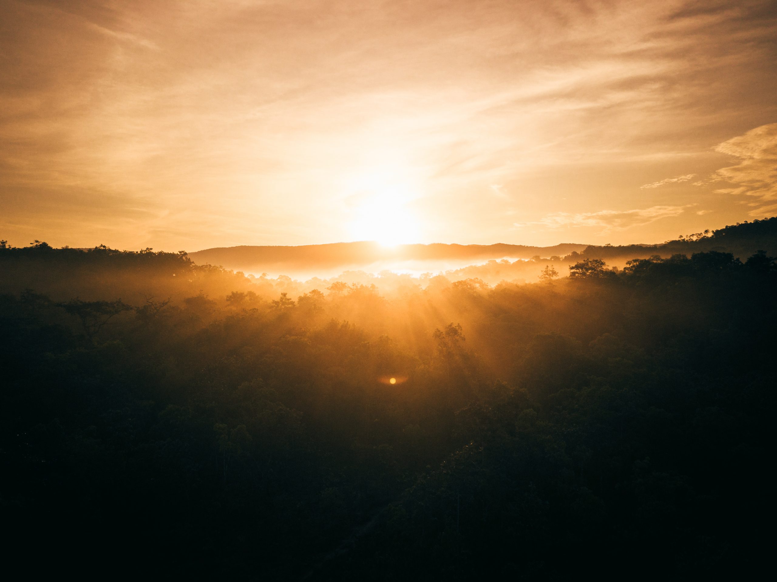 The sun rises over the rainforest in the Cardamom Mountains, Cambodia.