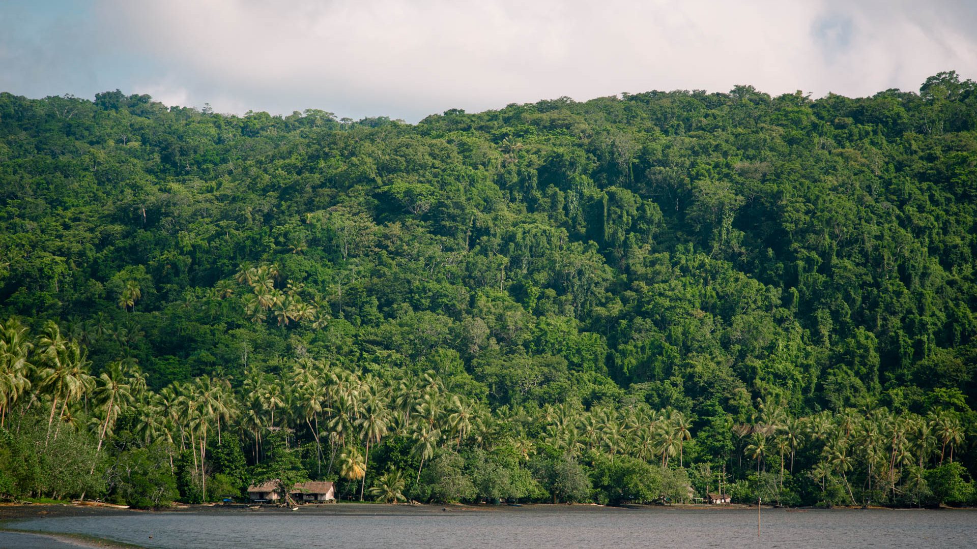 Las casas de madera se sientan frente a la selva tropical cerca del océano.