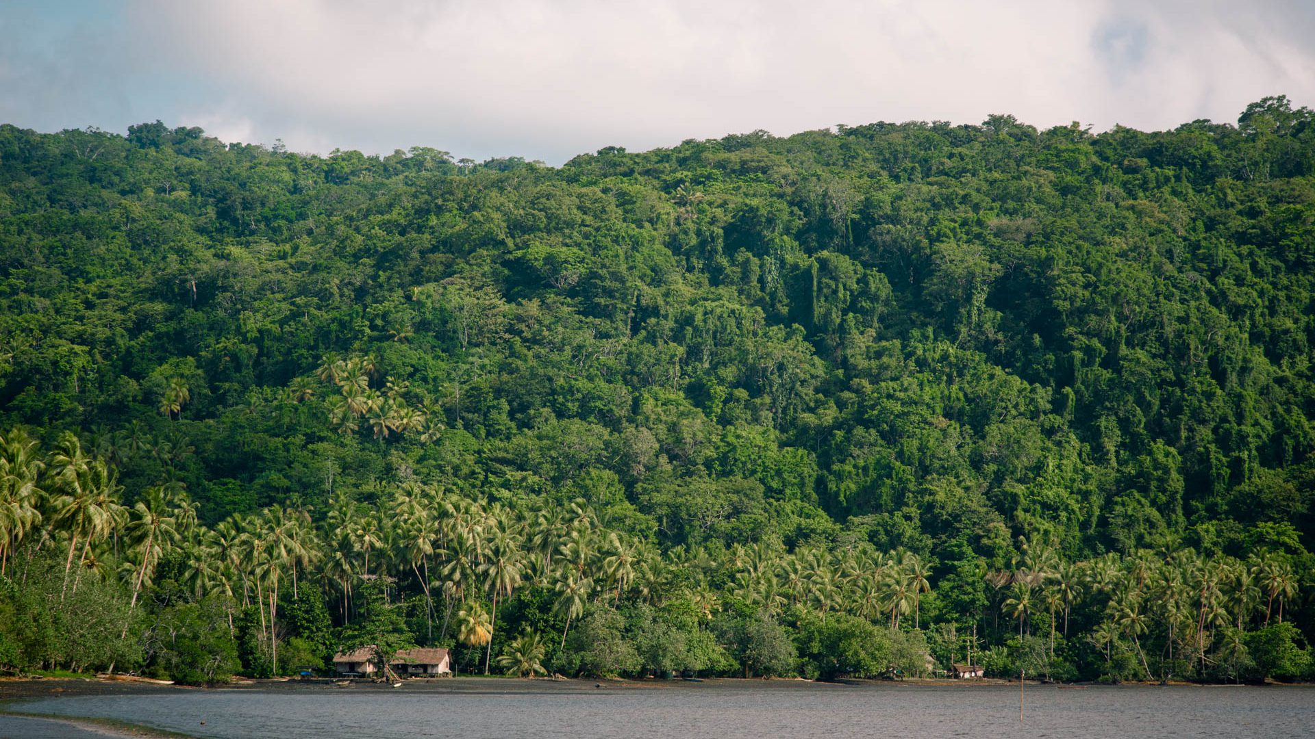 Wooden houses sit in front of rainforest near the ocean.