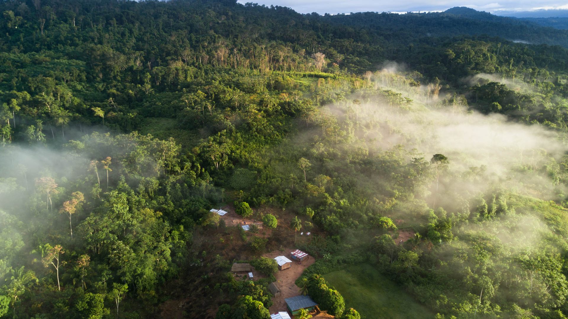 Aerial image of an Asháninka village in the rainforest.