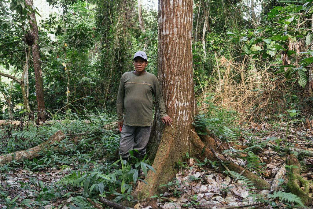Jaime stands before a tree that he planted in his youth at his agroforestry plot.