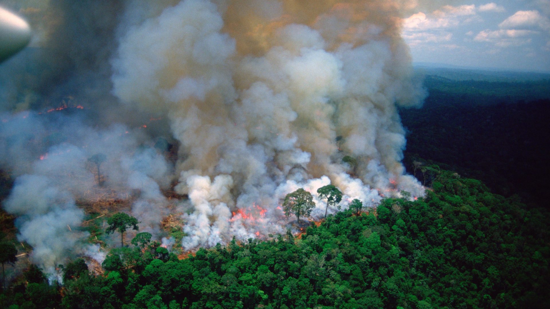 Aerial image of rainforest burning in the Amazon.