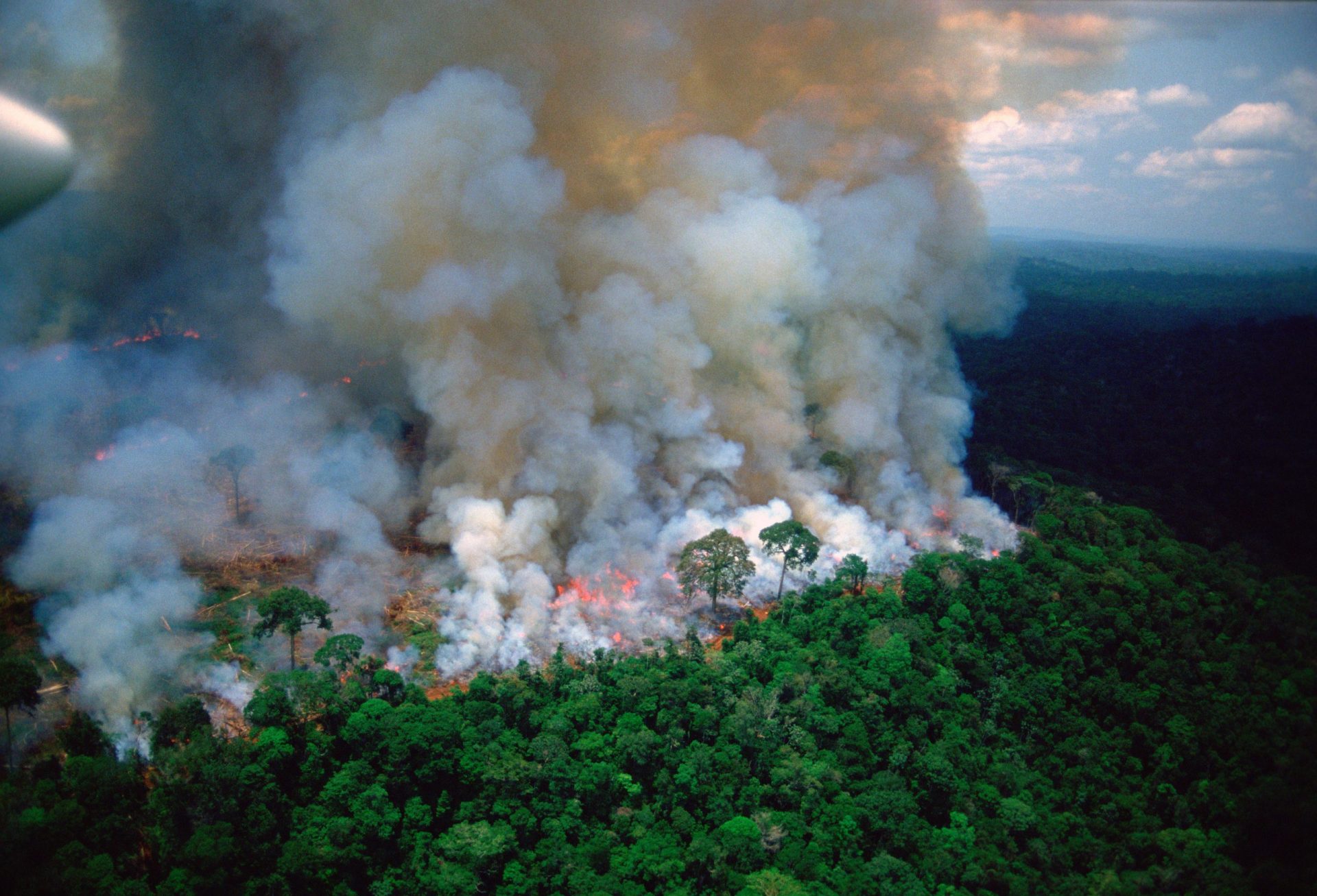 Aerial image of rainforest burning in the Amazon.