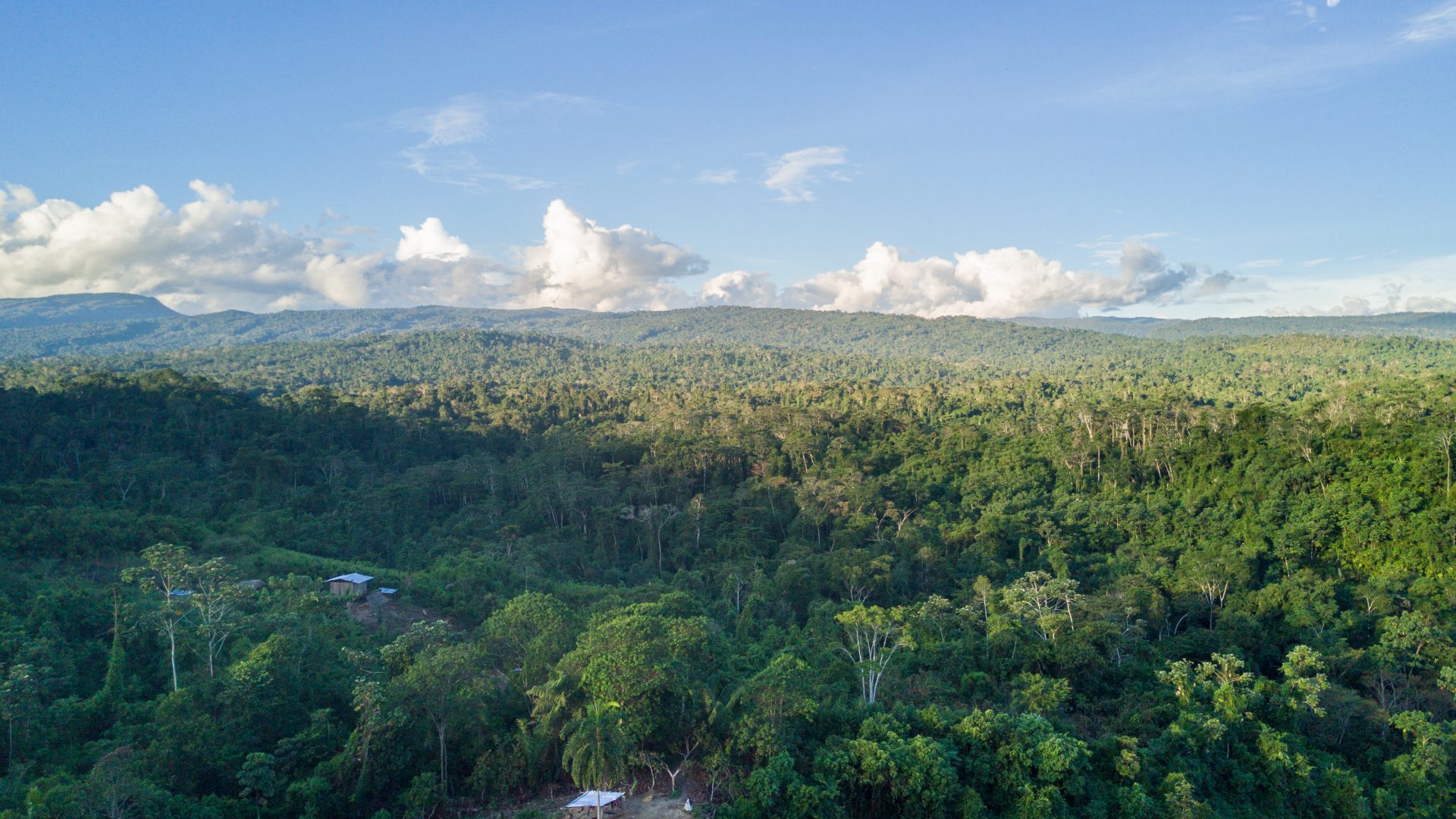 Aerial image of rainforest stretching to the horizon behind a small village.