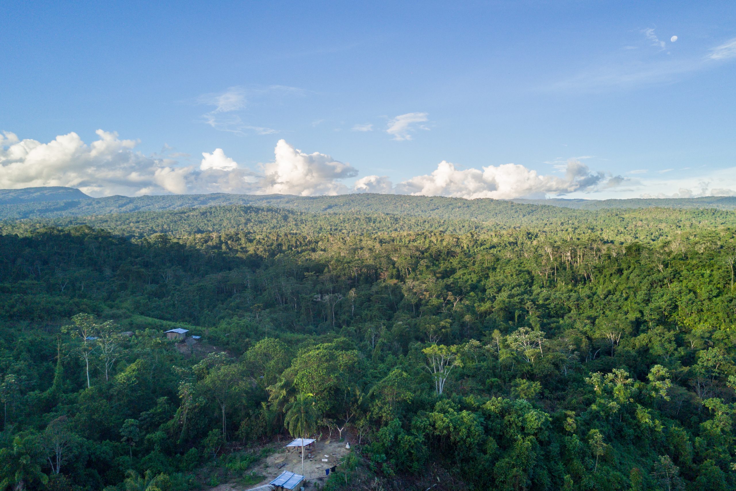 Aerial image of Amazon rainforest stretching to the horizon behind a small village.