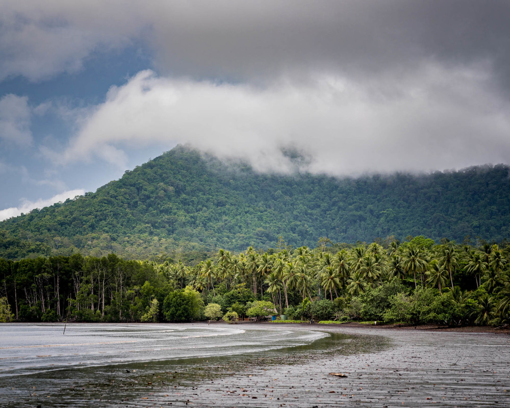 The tide is out in a small coastal inlay edged by palm trees. The dark sand is lapped at by water and we see blue sky overhead and big misty clouds rolling over a tree covered mountain.