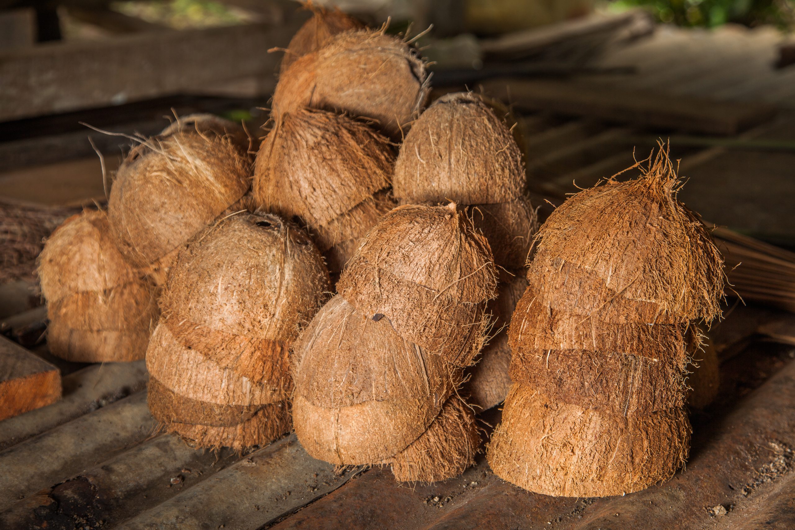 A pile of halved coconuts.