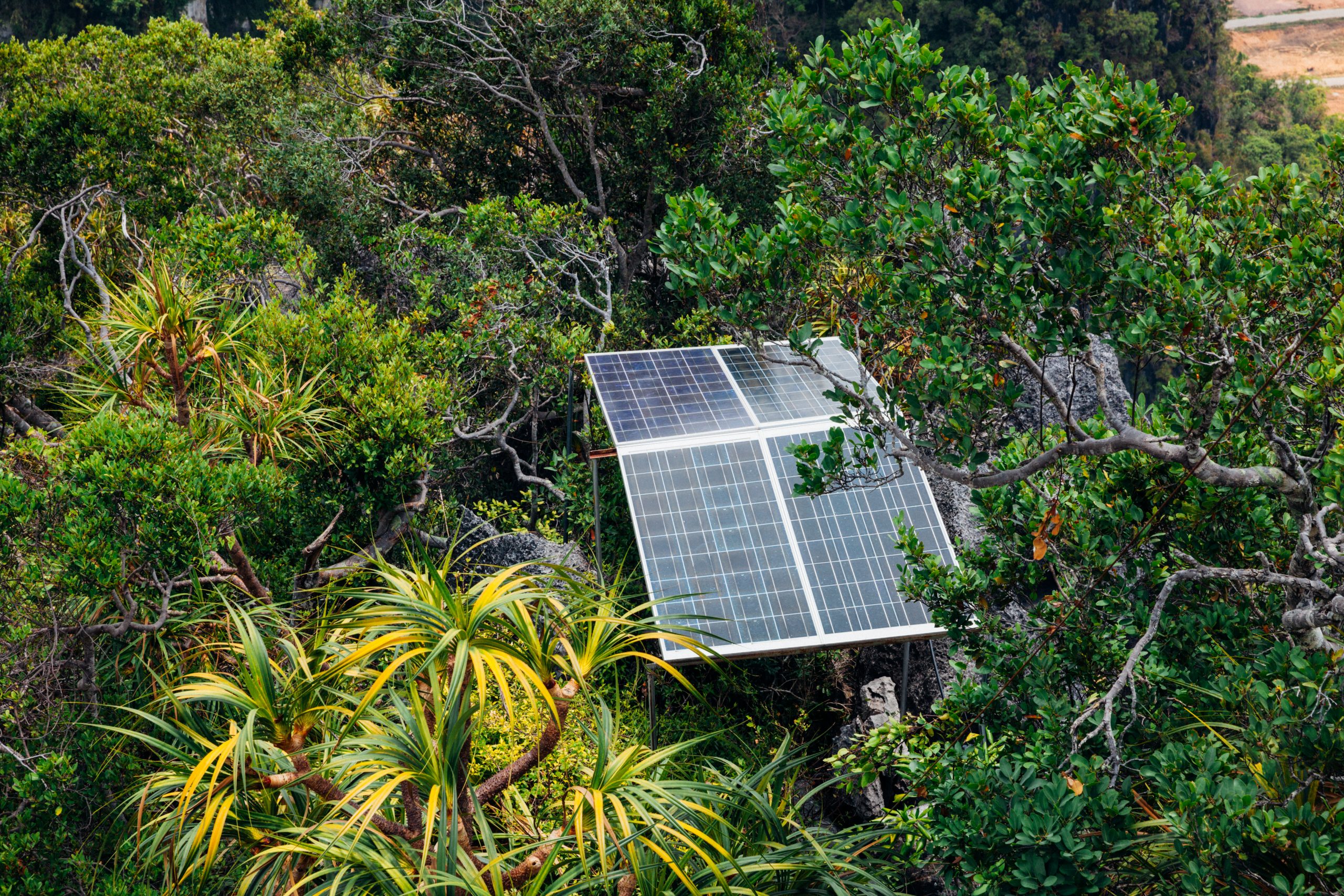 Solar panels among trees