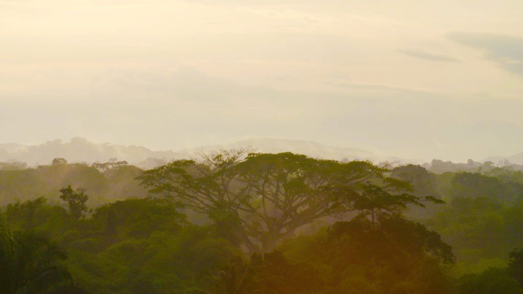 Sunset over Lubutu forest