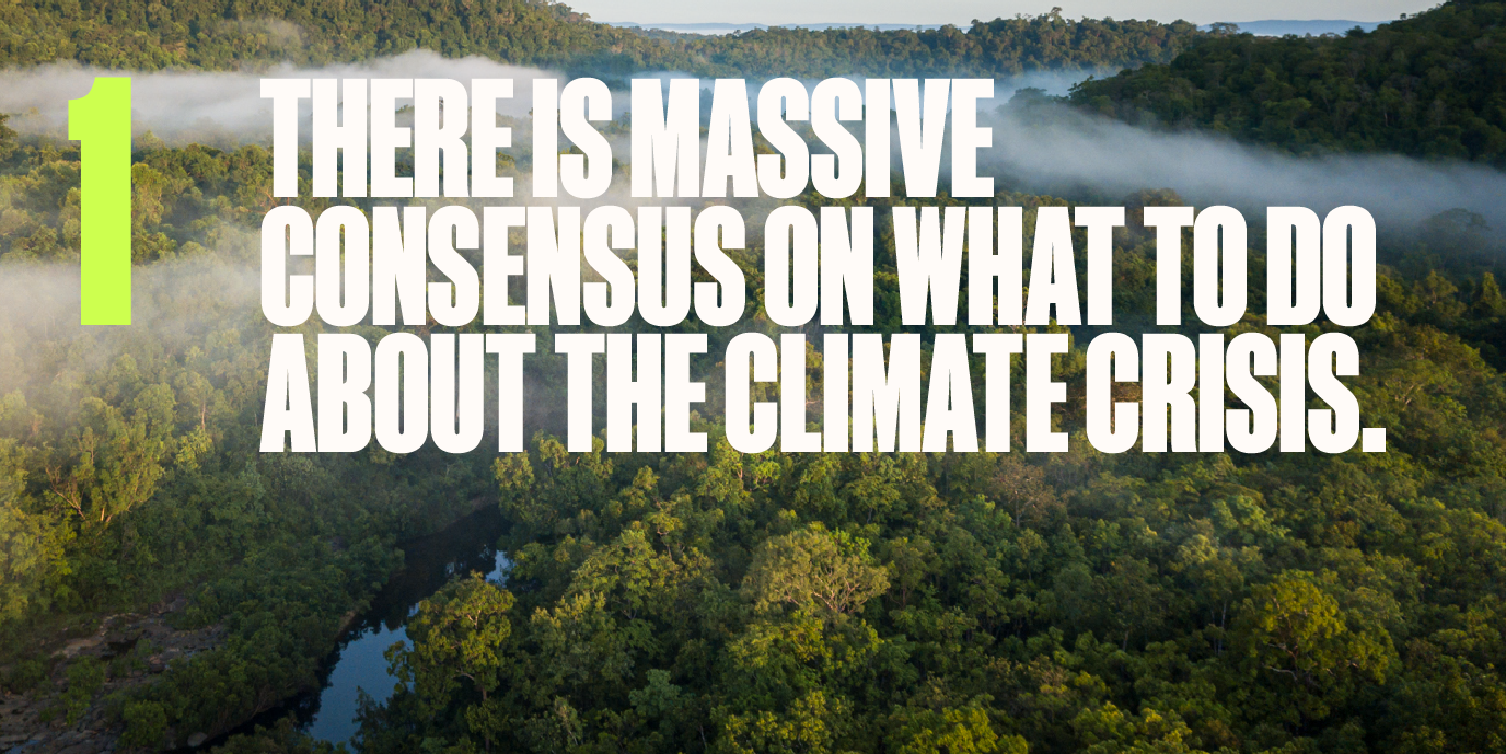 Radical Climate Optimism - Aerial rainforest image with white text overlay reading 'there is massive consensus on what to do about the climate crisis' 