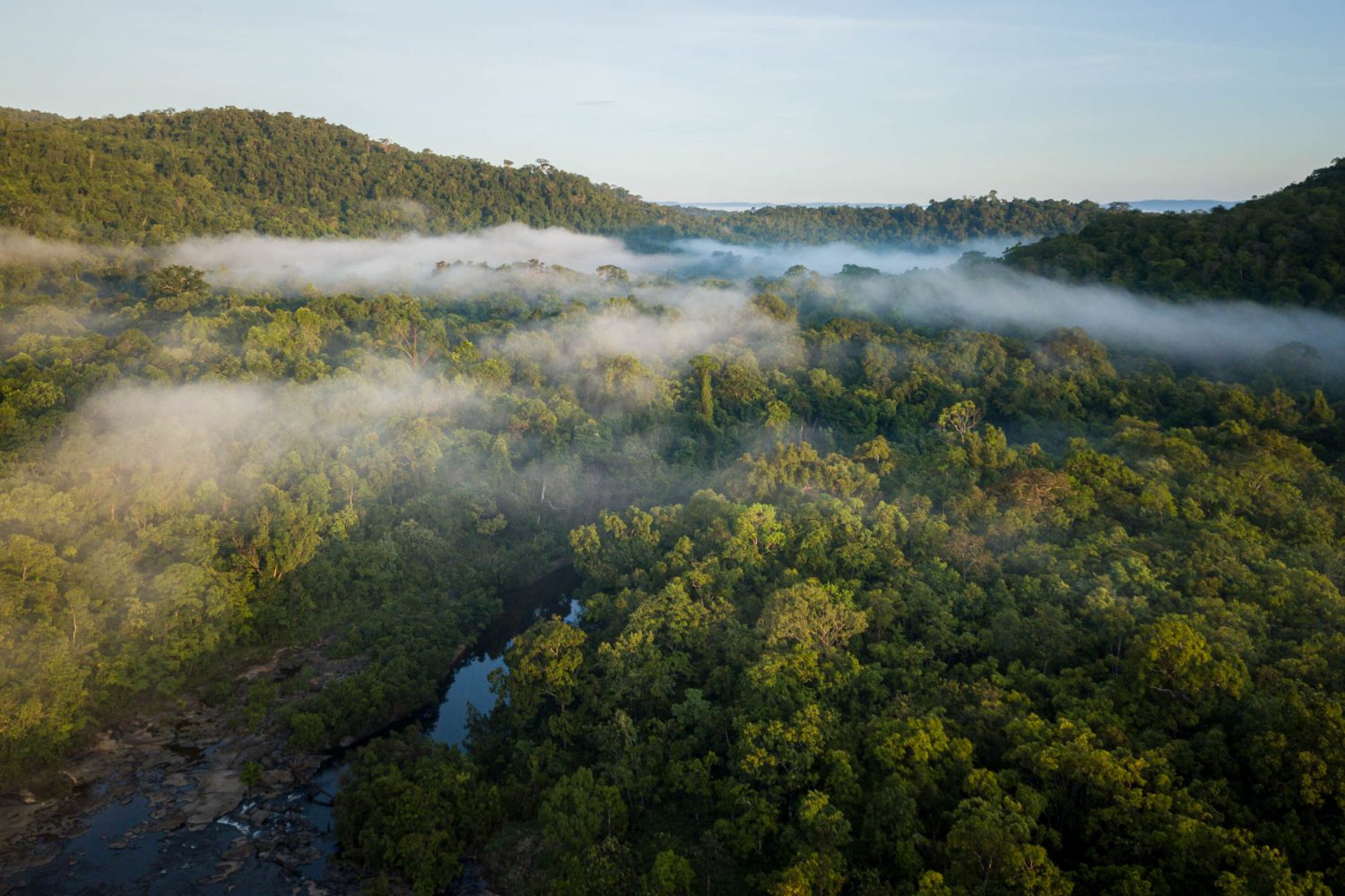 A river winds through lush tropical rainforest in the Cardamom Mountains, Cambodia.