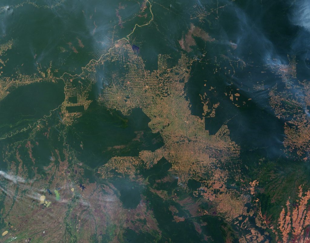 Aerial view of the Amazon, showing both pristine green rainforest and vast square patches of fire and deforestation