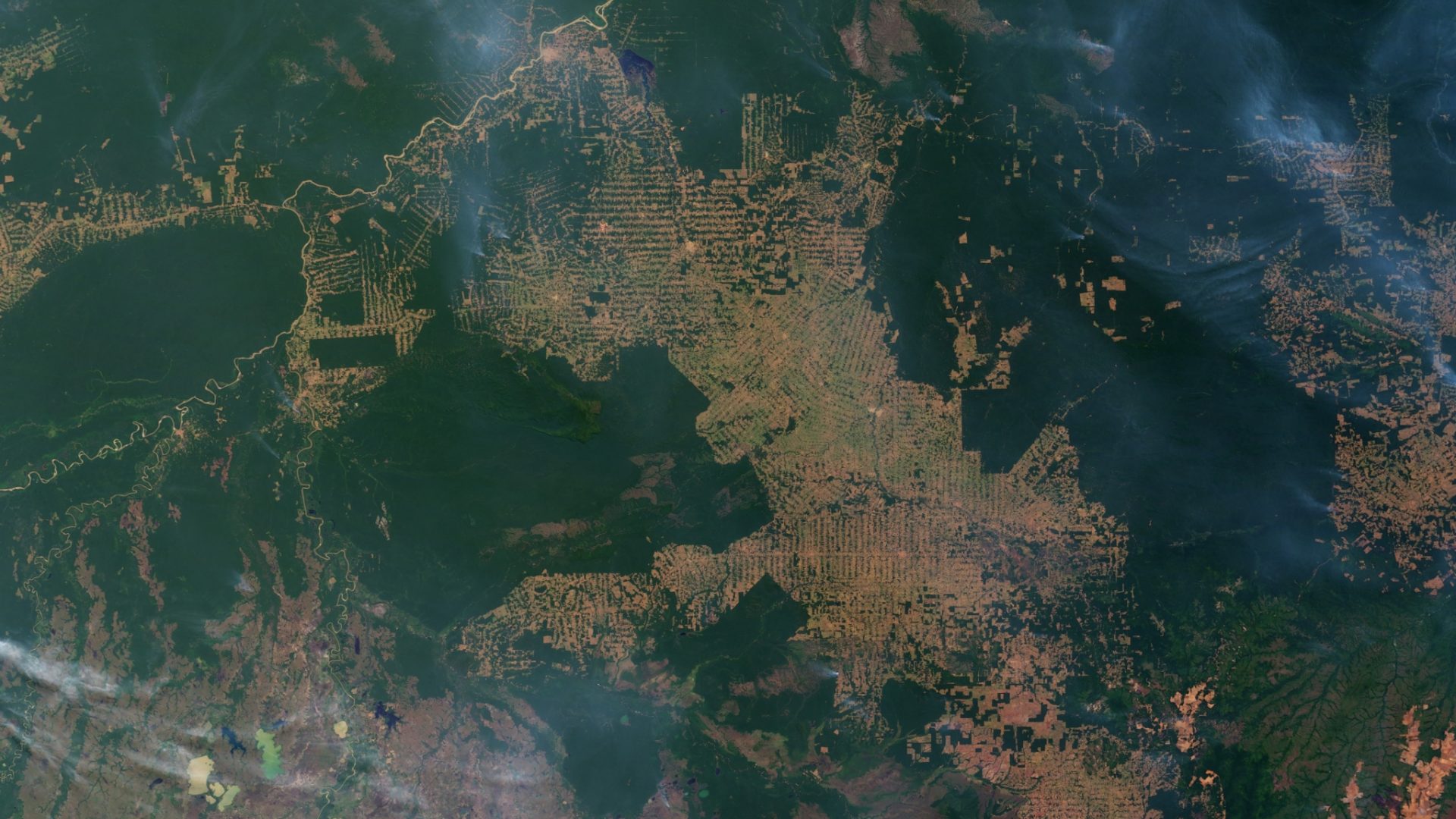 Aerial view of the Amazon, showing both pristine green rainforest and vast square patches of fire and deforestation