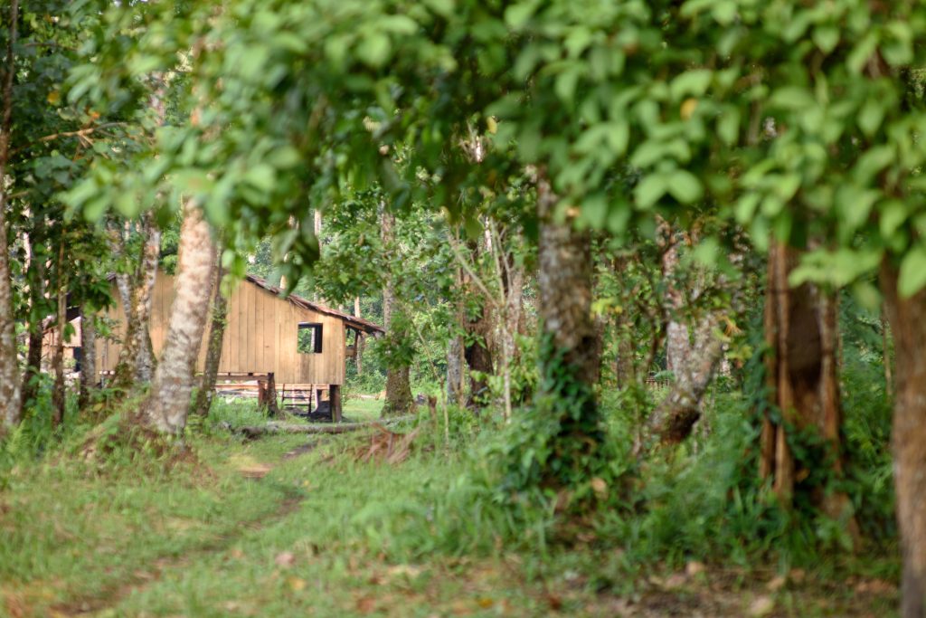 Wooden community building surrounded by forest.