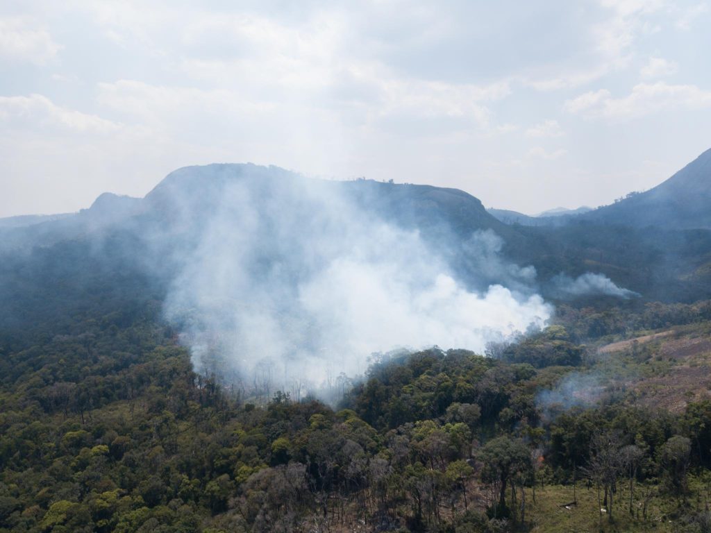 Smoke rising into the sky from a burning Mozambique forest