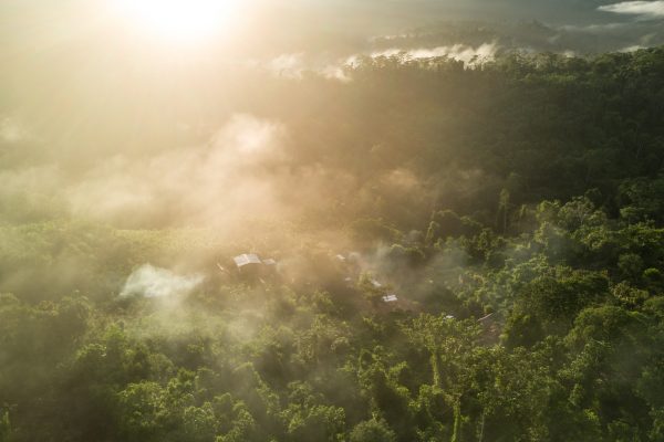 Aerial view of the rainforest, the sun shines over rising mist.