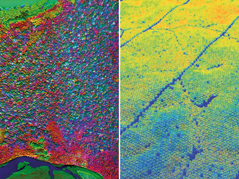 Two satellite images comparing landscape diversity using colour side by side, the first of multi coloured Asháninka forest and the second of a green and blue only palm oil plantation..