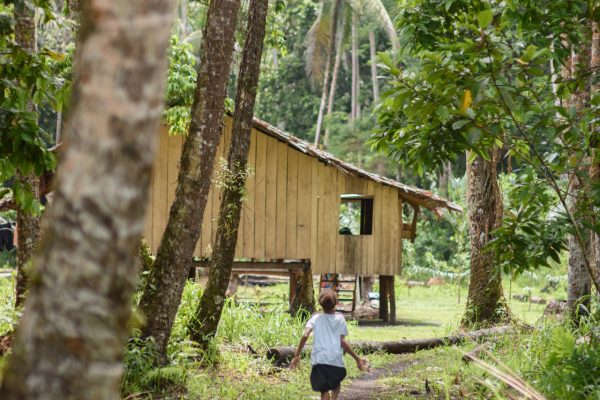 Child walking away from the camera down a path towards a wooden house on stilts. Trees line the path and further rainforest can be seen in the background