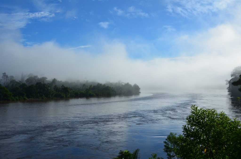 wide stretch of river with rainforest lining the bank, a mist hangs in the air