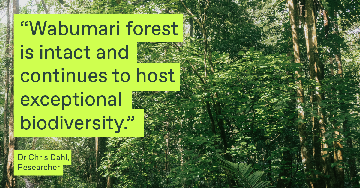Wabumari forest is intact and continues to host exceptional biodiversity, Dr Chris Dahl, Researcher
