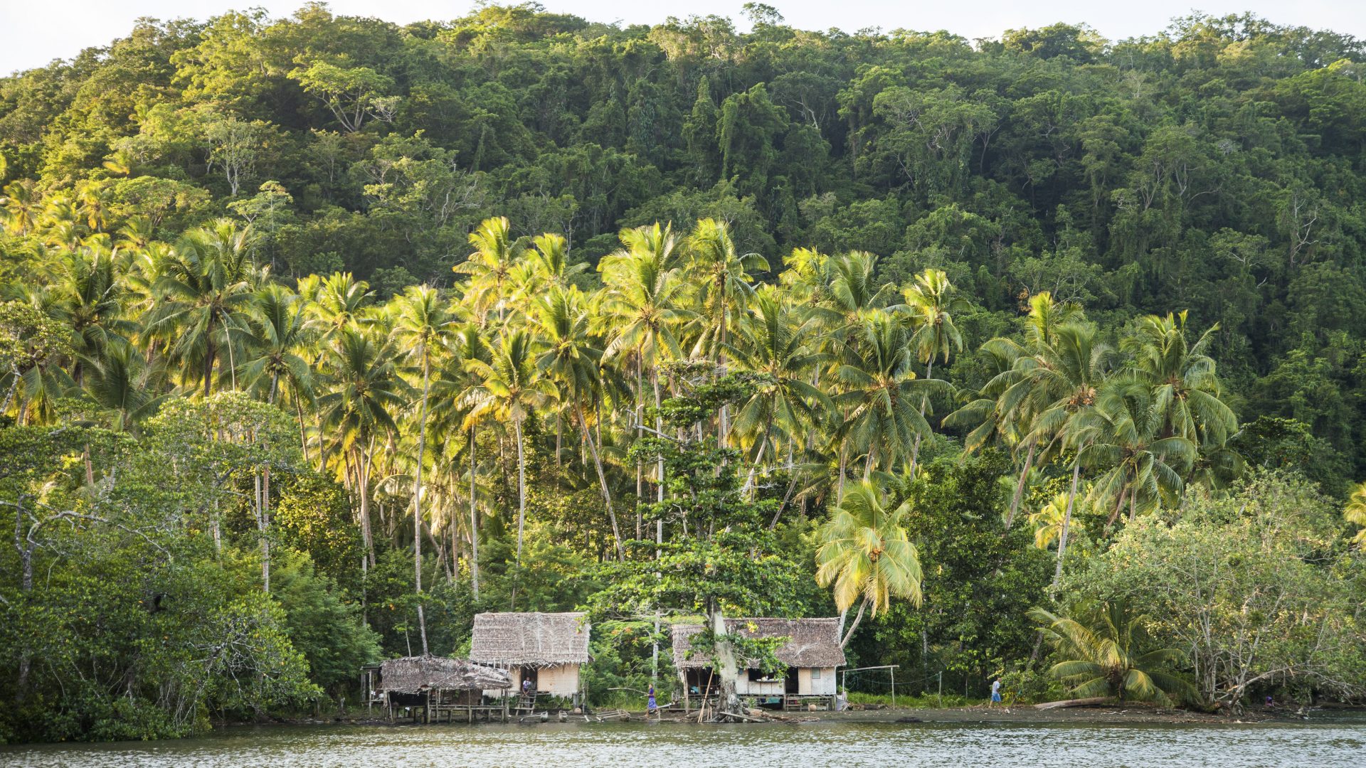 Houses on the shore beneath a hill covered in tropical rainforest.