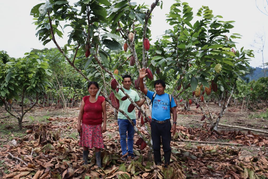 A woman and two men stood beneath a Cacao tree wave at the camera.
