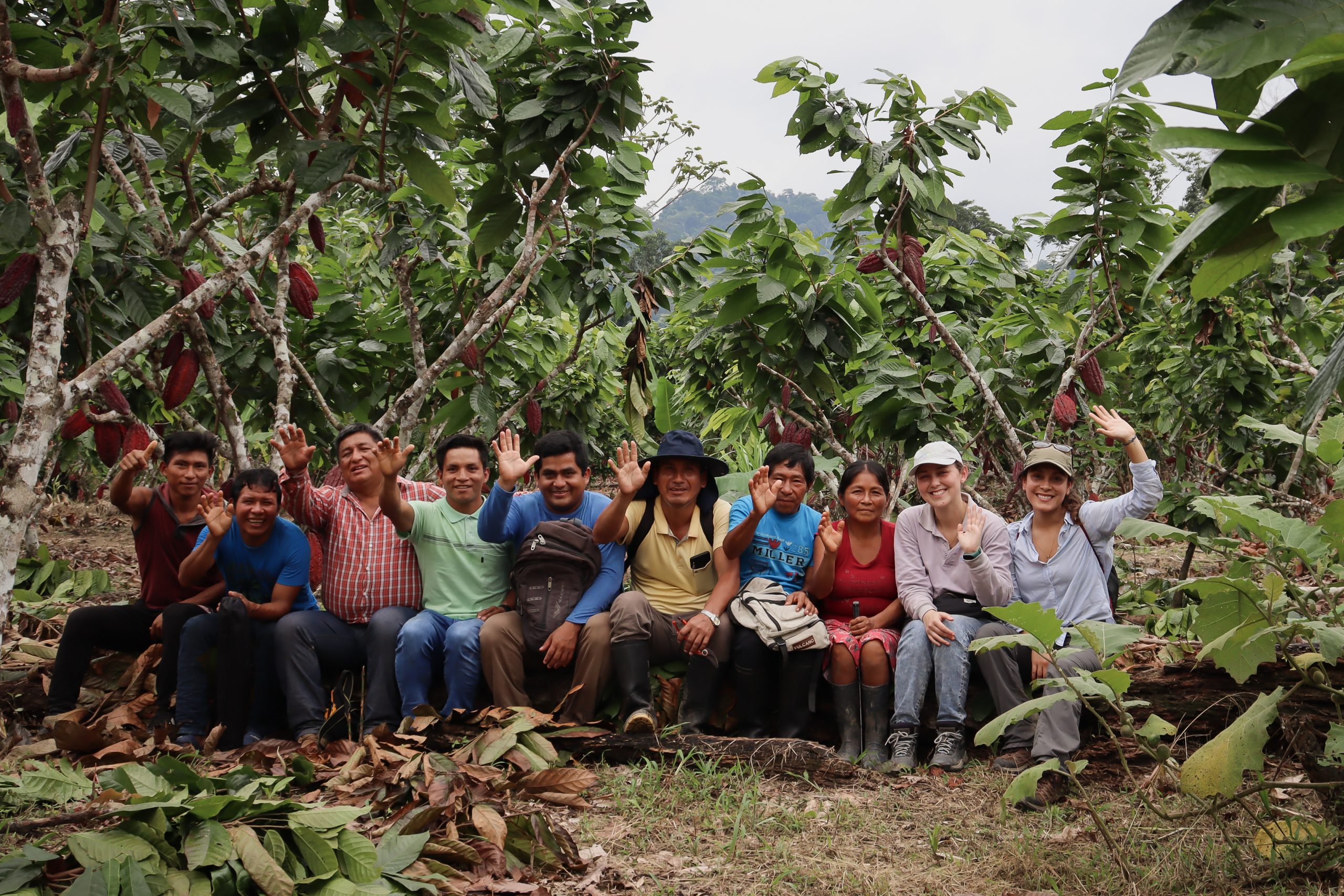 We've partnered with INCA - Cool Earth