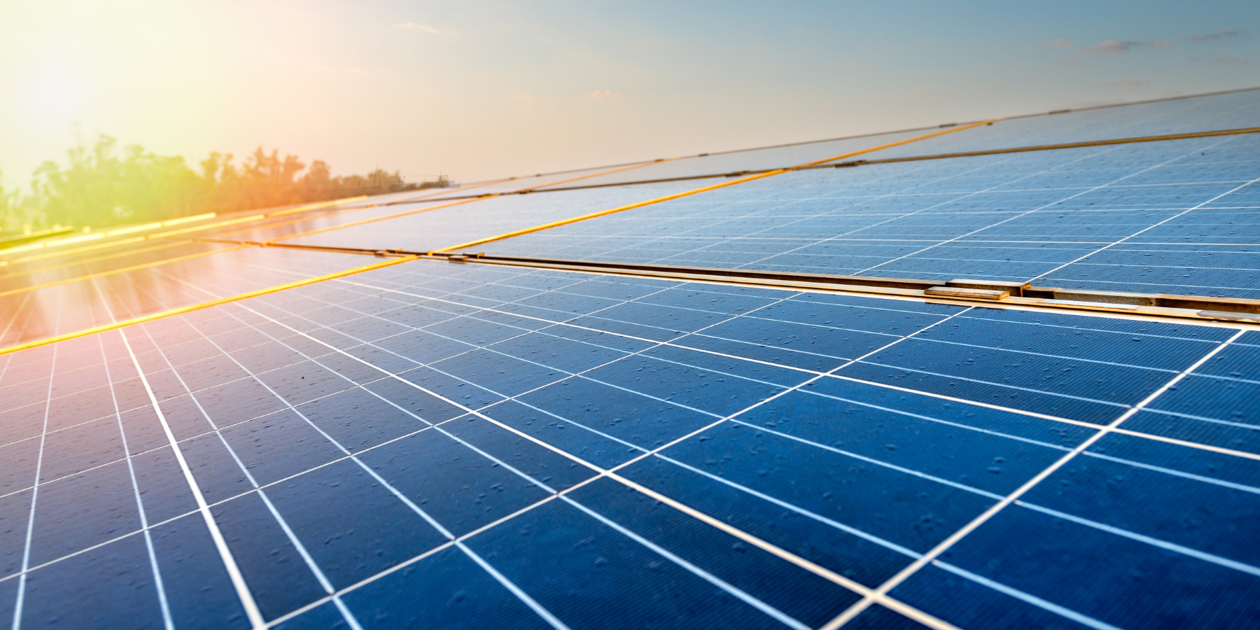 Solar panels reflect light form a glowing sunset as the sun falls behind some trees. 