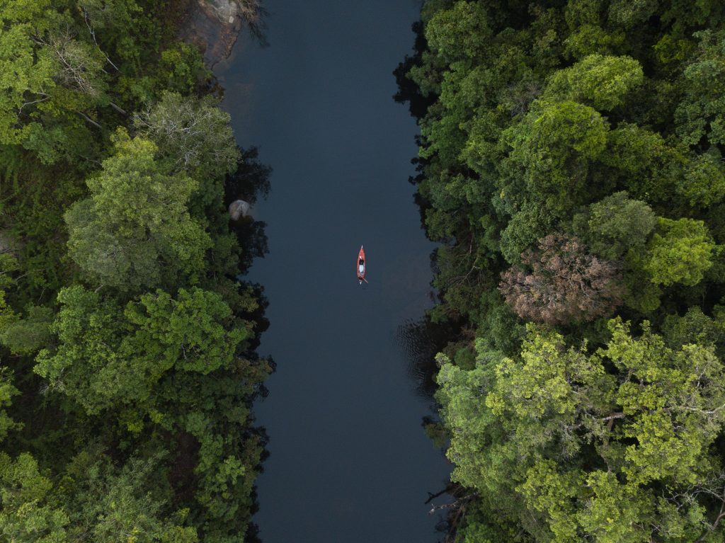 Aerial image of a kayak in the middle of a river surrounded by jungle.