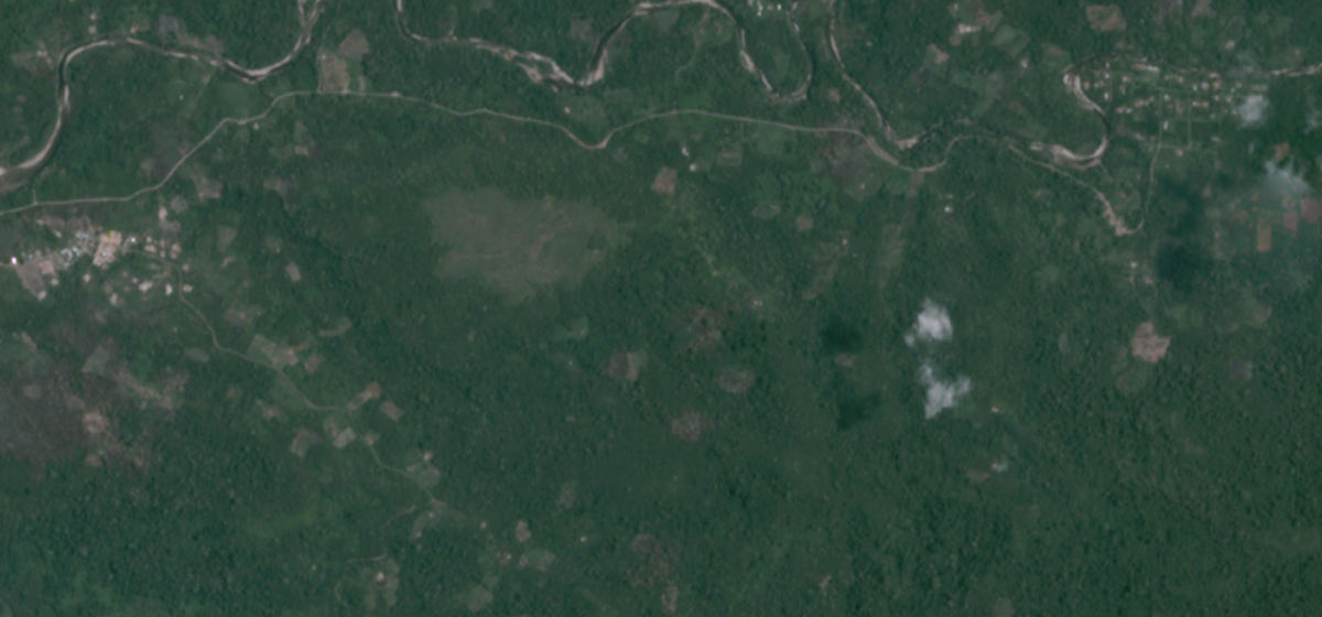 Satellite imagery from October 2020 Cutivireni, Peru. Image is mostly green rainforest with some clusters of deforested plots.