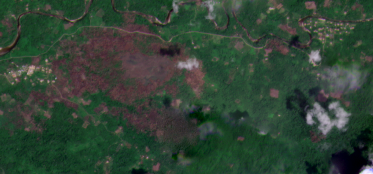 Satellite imagery from December 2020 Cutivireni, Peru. A large chunck rainforest in the image is brown indicating the areas destroyed by fires. 